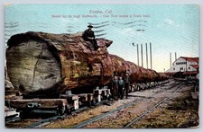 Antique California Postcard EUREKA Huge Redwood Train Log 1911 picture