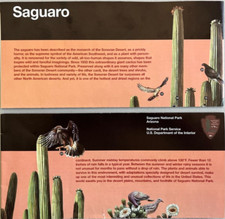 Vintage 2007 SAGUARO NP - AZ   NATIONAL PARK SERVICE UNIGRID BROCHURE/MAP   New picture