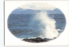 Postcard Sea Nature Scene picture