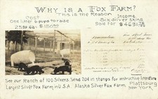 Alaska Silver Fox Farm Plattsburg Clinton New York - Original Early Advert RPPC picture