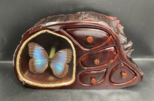 Vintage Preserved Blue Morpho Butterfly Redwood Stump Jewelry Trinket Box picture