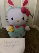 2015 hello kitty greeter picture