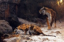 Oil painting Friedrich-Wilhelm-Kuhnert-Tigers-at-a-Drinking-Pool landscape art picture