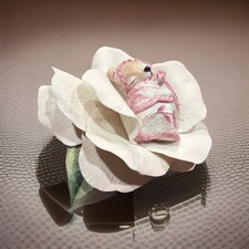 Rare Thistledown Collection BRONN Made In USA Mouse Asleep Flower 2/100 Limited picture