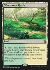 Windswept Heath ~ Khans of Tarkir [ EX ] [ Magic MTG ] picture