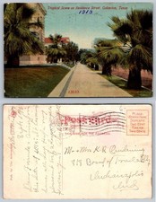 1913 Galveston, Texas Tropical Scene Residence Street Palm Trees Postcard picture