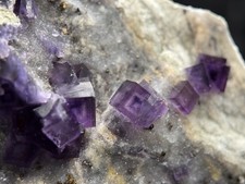 Simply Incredible INSANE zoned cubic purple fluorite-FLUORESCENT Anhui, China picture