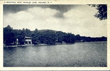 Holmes New York Whaley Lake A Beautiful Spot Early 1900s Postcard  picture