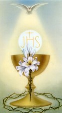 Prayer of Eucharistic Ministers A - Laminated Holy 25 CARDS picture