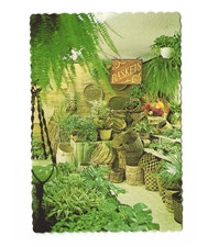 The Good Life Plant Store Lakeland FL vintage postcard Unposted picture