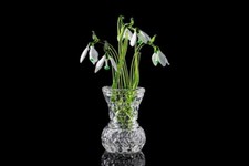 Mother's Day Flower Snowdrop set of three glass snowdrops and crystal vase picture