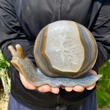 1.76LB Natural agate geode quartz crystal engrave snail skull healing gift decor picture