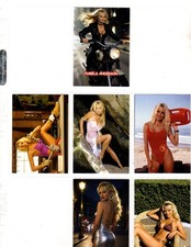 PAMELA ANDERSON     CUSTOM  NOVELTY TRADING CARD 6 CARDS   SET picture