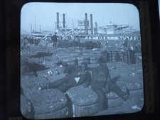 Vtg Keystone 1902 Glass Slide Photo Blacks & Cotton Bales New Orleans Steamboat picture