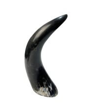 Polished Bull Steer Powder Horn Beautiful 12.25”x5” Barn Western Americana Decor picture