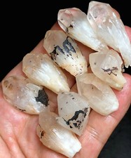 87g 9PCS RARE Natural Hollandite Star Quartz CRYSTAL Point &Trapiche Hair  j338 picture