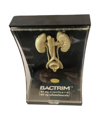 Vintage Roche Bactrim Medical Anatomical Model Kidneys RARE Display Big Pharma picture