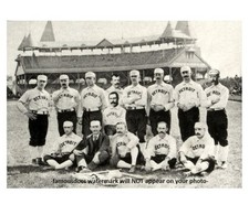 1888 Detroit Wolverines Baseball Team PHOTO Final Year 5x7 Pic picture