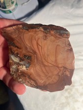 Natural Willow Creek Jasper Slab 4
