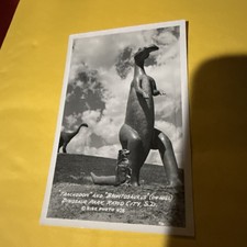 Trachodon, Dinosaur Park, Rapid City, South Dakota SD Real Photo Postcard ~ RPPC picture
