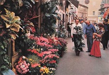 Postcard postcard 10x15cm CANNES ALPES-MARITIMES rue MEYNADIER written picture