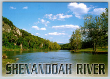 c1970s Shenandoah River Fish Augusta County Virginia Valley Vintage Postcard picture