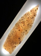 Gorgeous Very Rare Translucent 3 1/2”  Paleo Agate Arrowhead Colorado X B Gandee picture