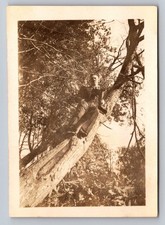 Man in Tree 1920s Snapshot Photograph Candid Outdoor Nature Americana picture