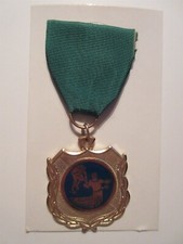 Vintage Hockey medal on card 1960's picture