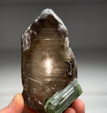 Beautiful Green Tourmaline with Smoky Quartz picture