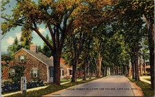 Vtg Typical Street in a Cape Cod Village Massachusetts MA 1940s Linen Postcard picture