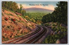 Mountain Scene Pen Mar Park Pennsylvania Postcard Linen Railroad Tracks picture
