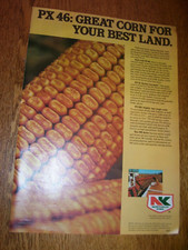 VINTAGE SEED CORN  ADVERTISING-10