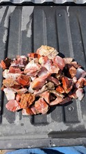 Pigeon Blood Agate 8+ Lbs. Rough Lot  picture