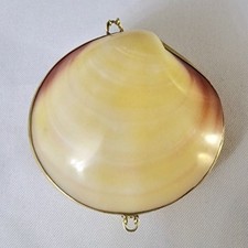 Antique/Vtg. Clam Shell Trinket Holder Brass Clasp Natural.  picture