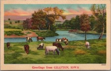 Vintage 1940s GRAFTON, Iowa Greetings Postcard Cattle Cows River / NYCE Linen picture