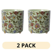 2 Pack Beautiful 8in Sage Wildflower Footed Ceramic Planter Drew Barrymore picture
