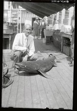 William Beebe director of expedition to obtain air and water spec - 1925 Photo picture