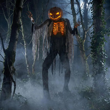 Seasonal Visions MR124456 Animated Scorched Scarecrow Costume picture