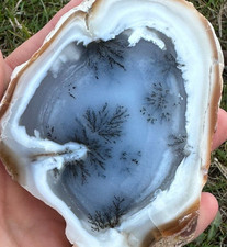 Scenic Dendritic Agate, Two Side Hand Polished, 100% Natural Stone, 1430 Carat picture