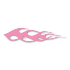 Classic Flames Tucana Design Magnet picture