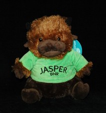Official Mascot of the Buffalo National River 