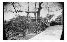 Nassau Bahamas Royal Victoria Hotel Standard Postcard COPY RPPC picture