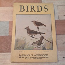 1930 BIRDS By Frank G. Ashbrook Bird Guide Vintage USA Dept Of Agriculture picture