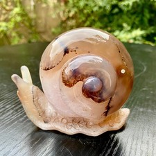 350G  Natural Agate Hand Carved Snail Crystal Healing Stone Decor With Stand picture