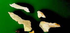 🔥LOT OF 4 Native American Stone Axes Found together in prehistoric southern IN picture