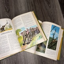Vintage 1965 Walt Disney Book Stories from Other Lands/Worlds of Nature  picture