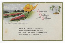 Vtg Postcard Christmas Greetings From California Orange Grove Snow Litho No 21 picture