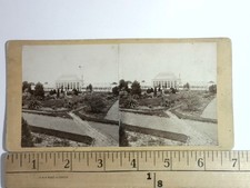 St. Louis Missouri Shaw's Garden Stereoview R. Benecke 1860s Greenhouse picture