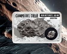 Campo del Cielo Iron Meteorite – Authentic Space Rock, Certified and Historical picture